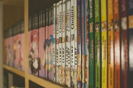 Mangas en D'Lire