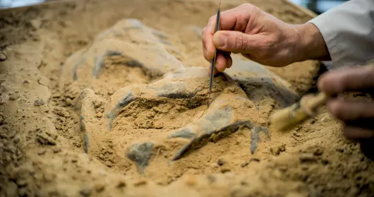 Aux origines du Loiret - Journées européennes du Patrimoine