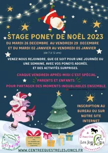 Stage poney de Noël