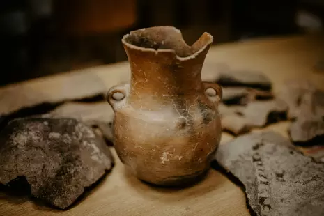 Journée de la détermination archéologie