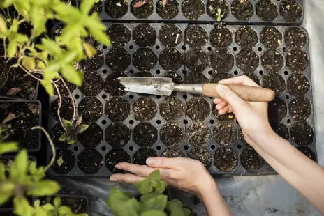 TROC’PLANTES D’AUTOMNE