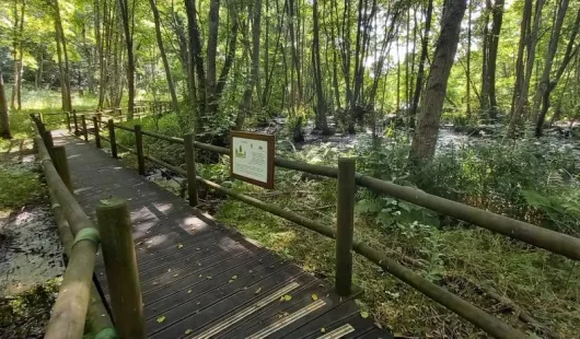 Parc naturel départemental de Trousse-Bois