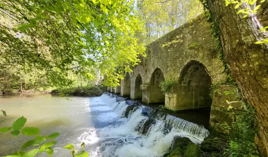 Le Pont du Gril de Corbelin