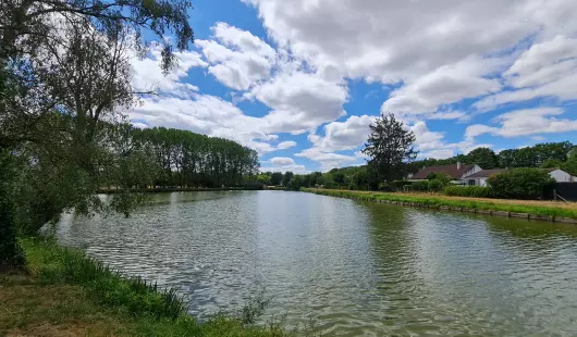 Etangs communaux de Saint Florent le Jeune