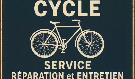Francky Cycle, réparateur vélo itinérant