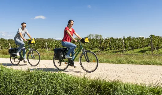 Les Vélos Verts - Orléans