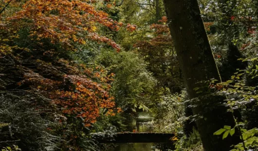 Jardin Arboretum d'Ilex