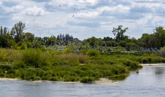 Espace naturel sensible les Rives de Beaugency