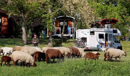 Aire de services pour camping car privée - Camping touristique de Gien