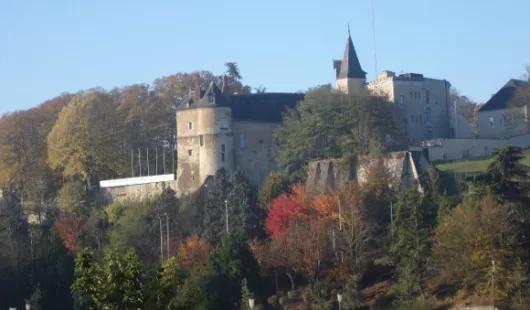 Château Royal de Montargis