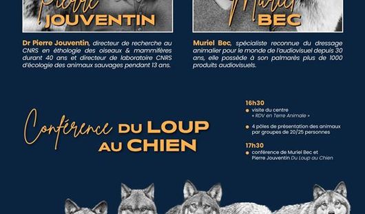 Conférence Du Loup au Chien avec Muriel Bec et Pierre Jouventin