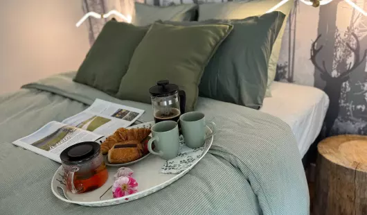 Les reflets de Loire