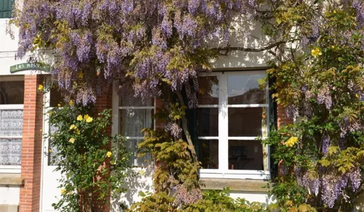 Gîte des Rosiers - Domaine de L'Epinoy