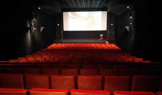 Cinéma Le Dunois