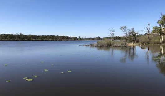 Espace naturel sensible de l'étang de la Noue Mazone