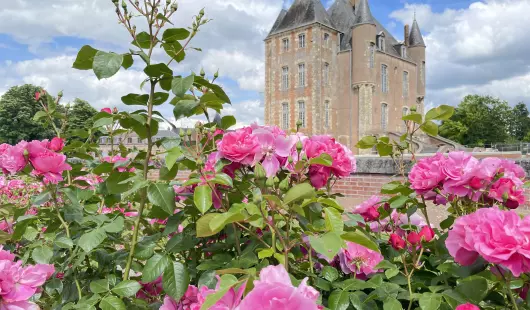Château de Bellegarde