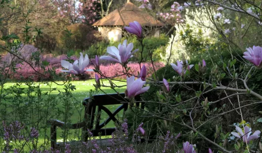 Les grandes bruyères Arboretum