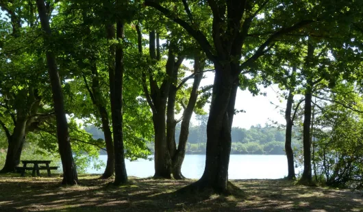 Etang de la Vallée - Campervan Parking Area