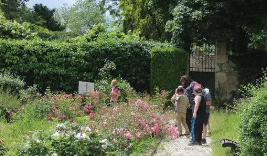 Parc et verger de la maison Marret