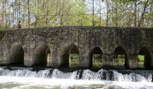 Le Pont du Gril de Corbelin