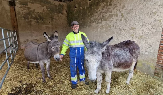 La Ferme des Murs