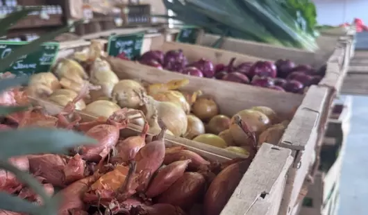 Au Bon Endroit - Ferme Zou la Galinette