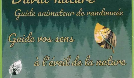 David-nature