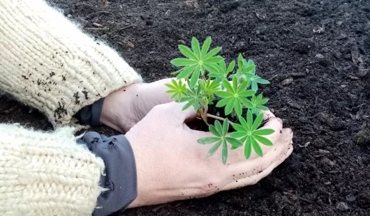 Légumes & vous