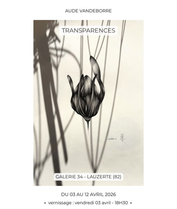 Exposition à la Galerie 34_Lauzerte