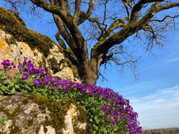 Le Gîte du Souffle des Anges