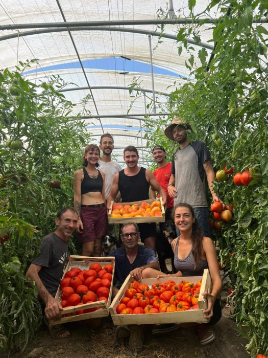 La ferme Barrau_Monferran-Savès