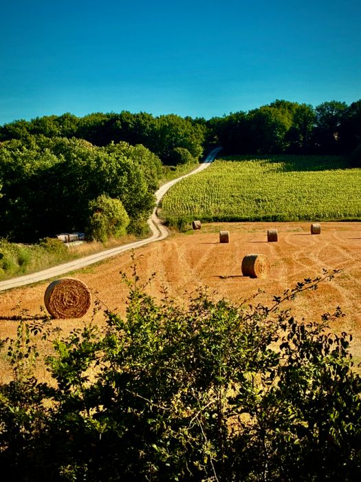 Les Rossignols 10 pers La palette_Belvèze