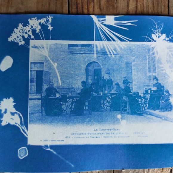 Les ateliers de l'été : Atelier cyanotype_Septfonds