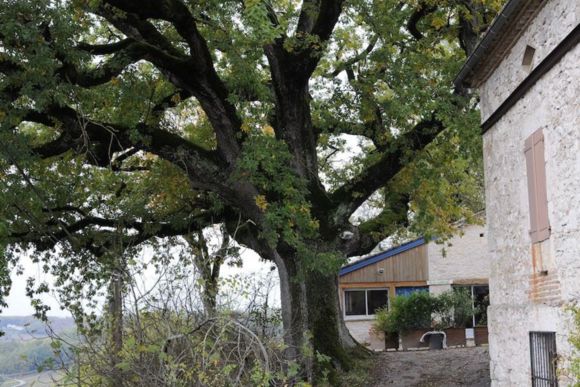 La Grange aux Chênes