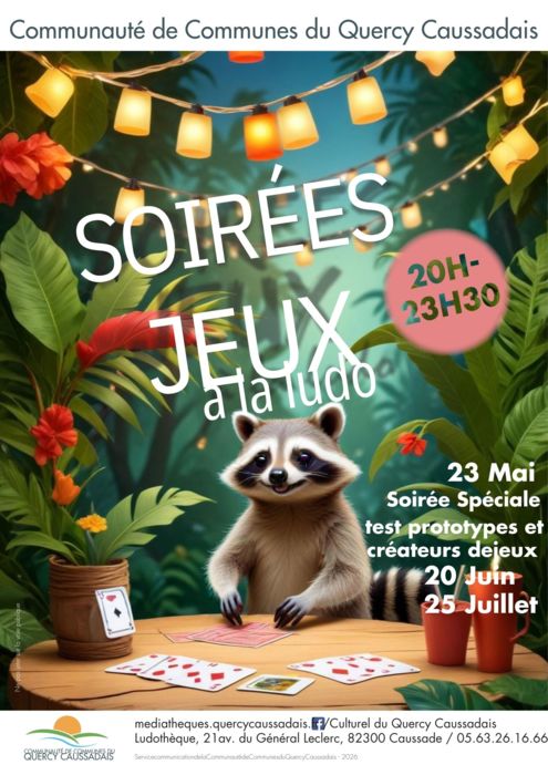 Soirée jeux à la Ludo