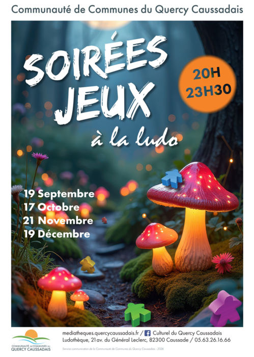 Soirée jeux à la Ludo