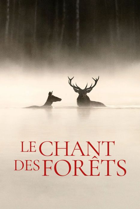 Festival Quercinété à Tréjouls :