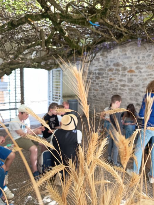 Atelier tressage de paille_Septfonds