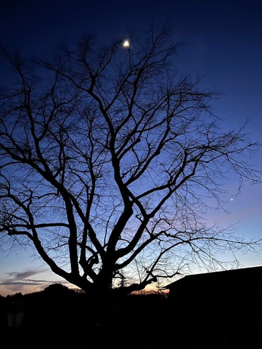 Les Rossignols_Belvèze