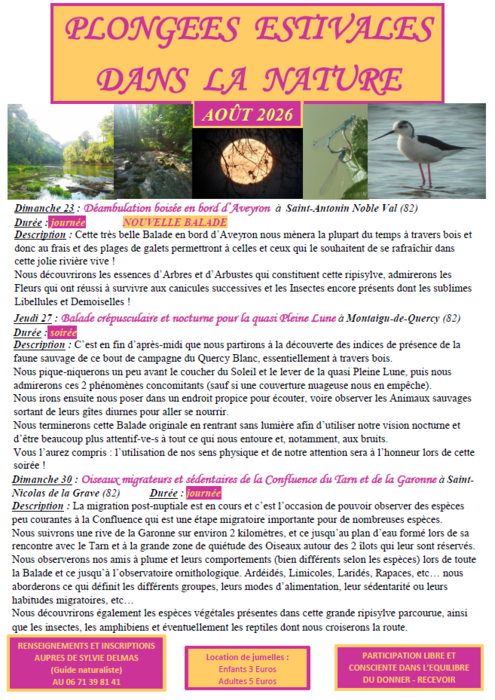 Balade crépusculaire à Montaigu-de-Quercy_Montaigu-de-Quercy