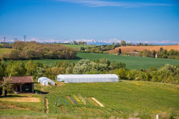 Le potager de la Bordeneuve Ouest_L'Isle-Jourdain