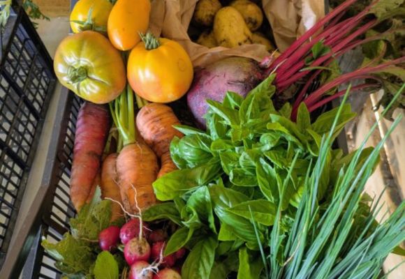 Mon coing de nature_Pujaudran