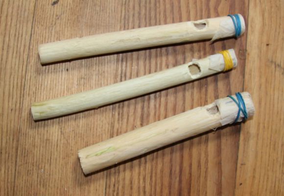 Balade nature créative au lac_Beaumont-de-Lomagne