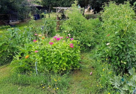 POtager Ferme du Breton