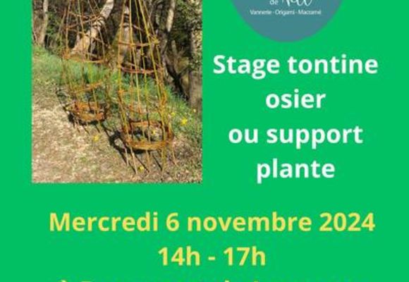 Stage tontine osier ou support plante_Beaumont-de-Lomagne