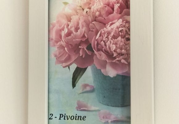 Chambre Pivoine