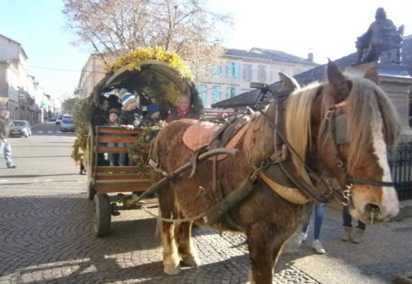 Marché de Noël - Beaumont_Beaumont-de-Lomagne