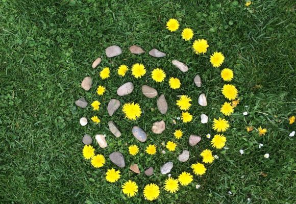 Balade nature créative au lac_Beaumont-de-Lomagne