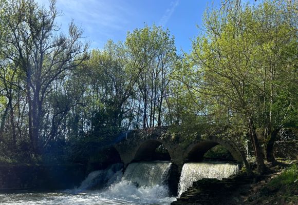 Balade nature créative au lac_Beaumont-de-Lomagne