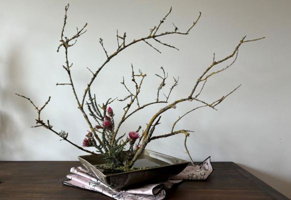 Atelier Ikebana_Bormes-les-Mimosas